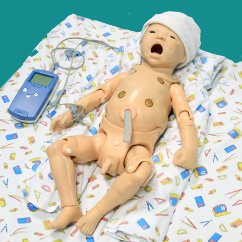 Simulatore di parto