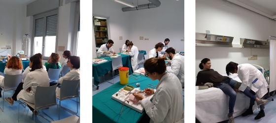 Immagine di attivita svolte durante il corso
