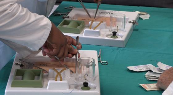 suture 2